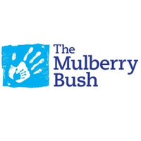 The Mulberry Bush Organisation